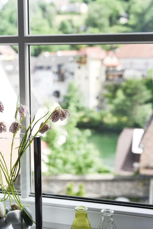 Apartments Zum Ybbsturm Waidhofen an der Ybbs Exteriér fotografie